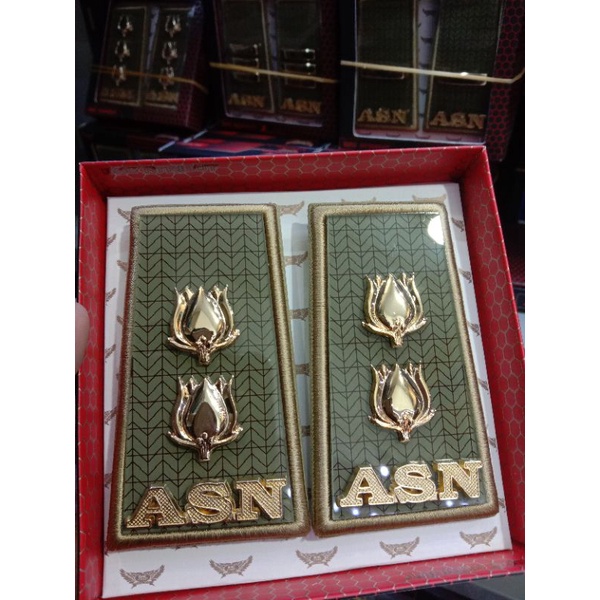 PANGKAT ASN PNS SUMSEL