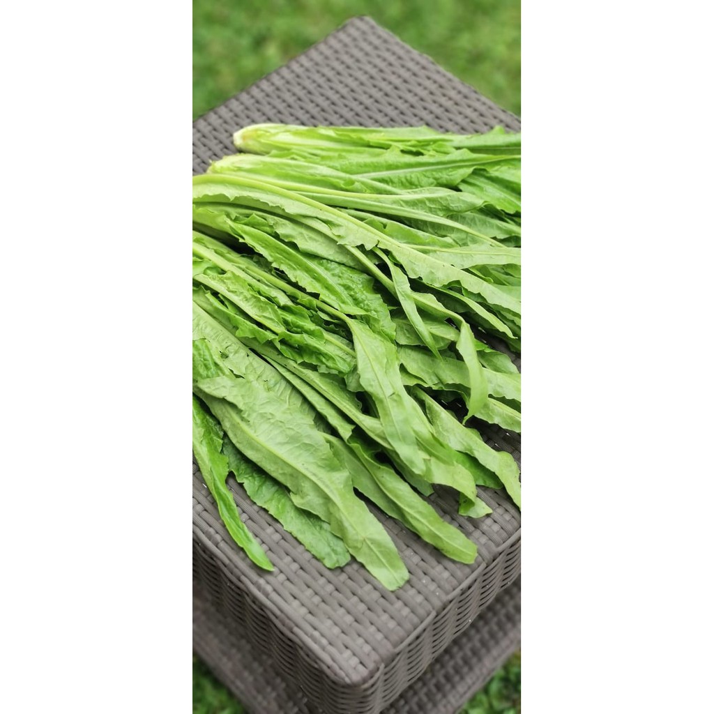 

Siomak Organik 250gr