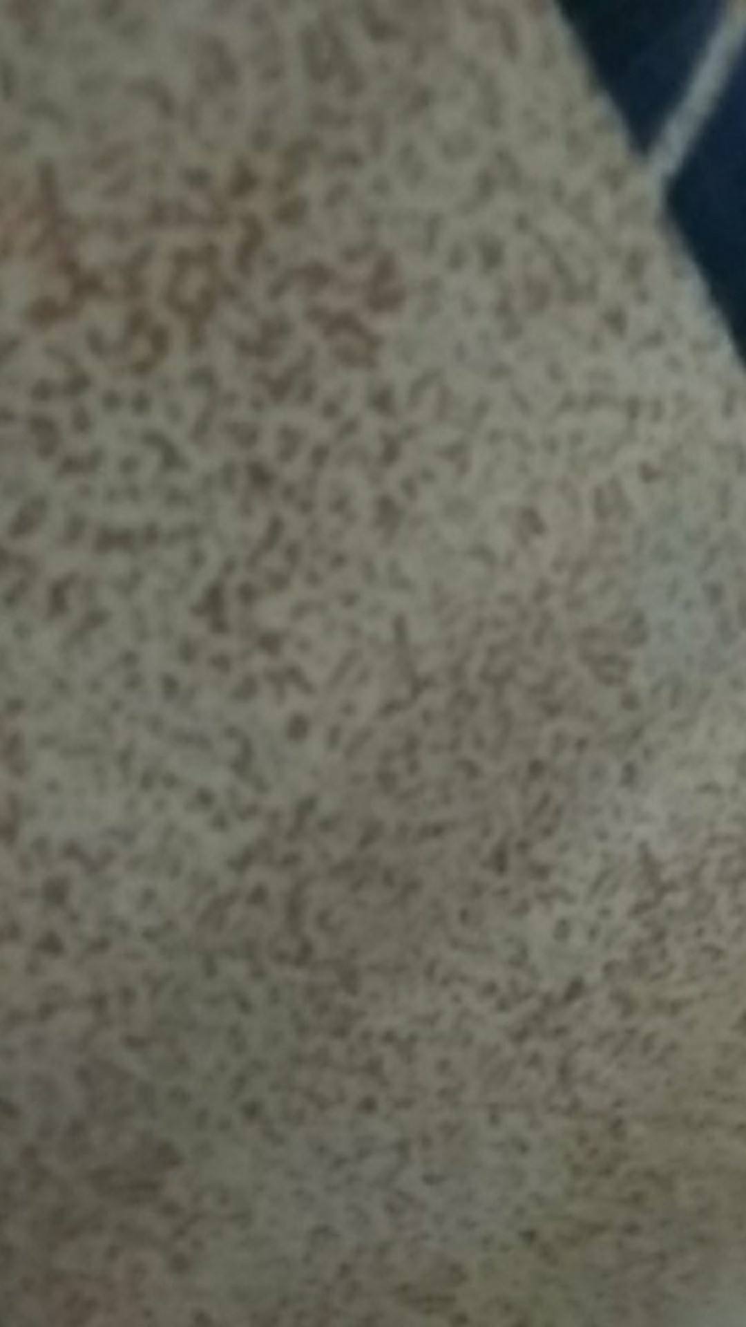 Teko Ekonomi Blirik Hijau 12cm (sekilo Muat 4)