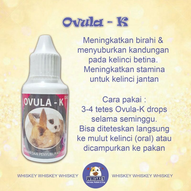 OVULA-K UNTUK BIRAHI KELINCI