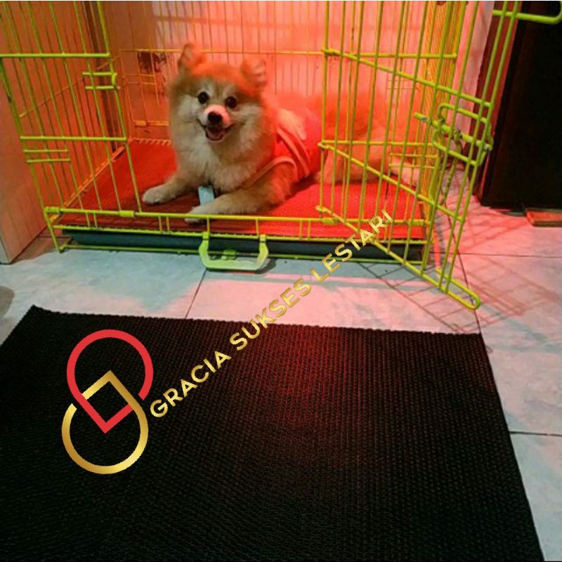 Alas Kandang Kucing Anjing Kelinci Kura Sugar Glider 30 x 60