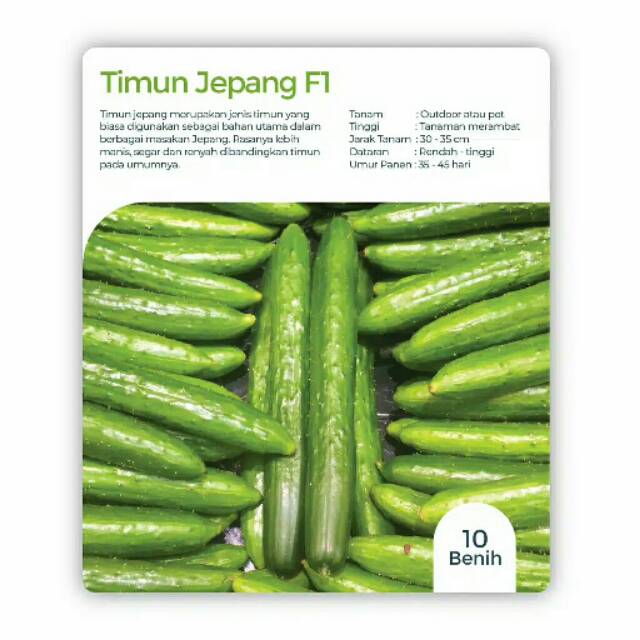 Benih Bibit Timun Jepang F1 10 benih