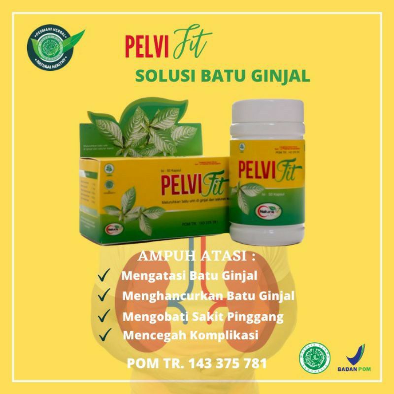 Pelvifit Obat Batu Ginjal, Batu Empedu, Batu Kandung Kemih, Merawat Ginjal, Sakit Pinggang