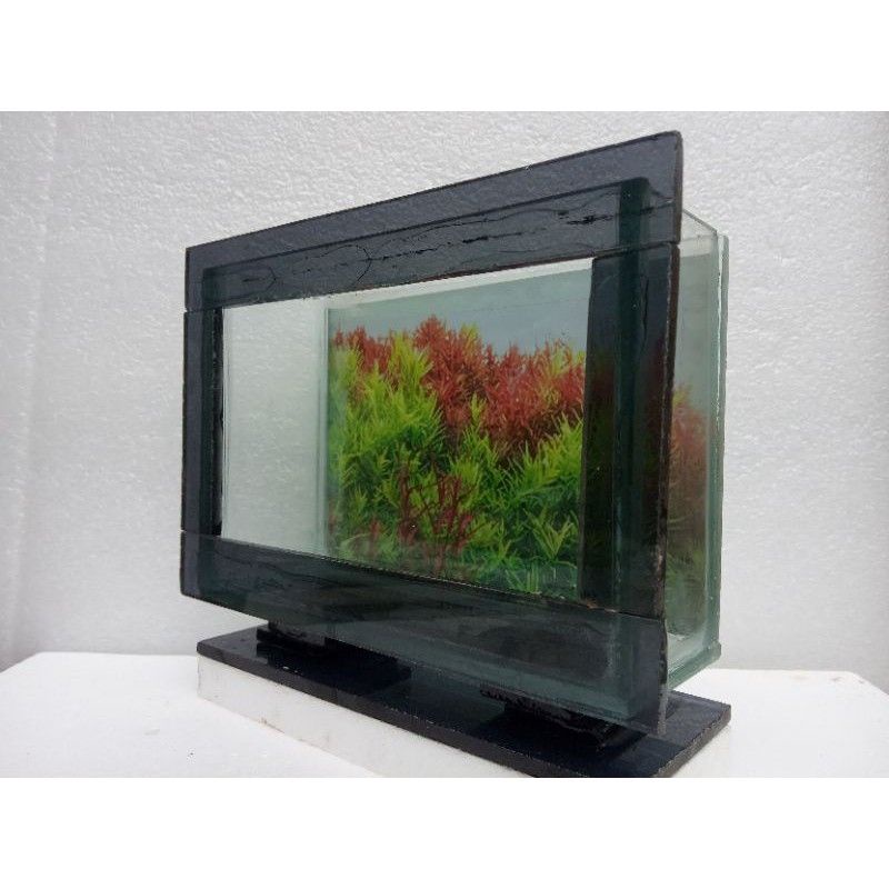 Aquarium TV led mini Aquascape ikan cupang
