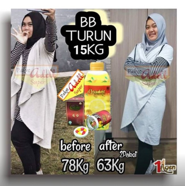 Tanaman Hias Rambat Dolar Besar - Dolar Rambat Ding-ding