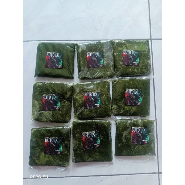 umpan galatama lele buto ijo