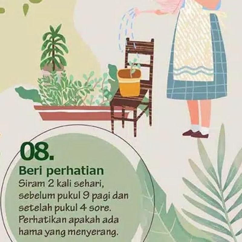 Benih Sayur Bibit Tanaman Sayuran Bawang Cabe Kacang Oyong Pare Timun Terong Tomat Wortel-8
