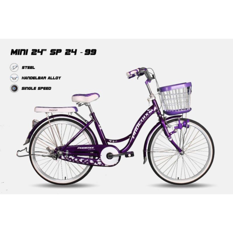 mini 20 24 26 phoenix 99