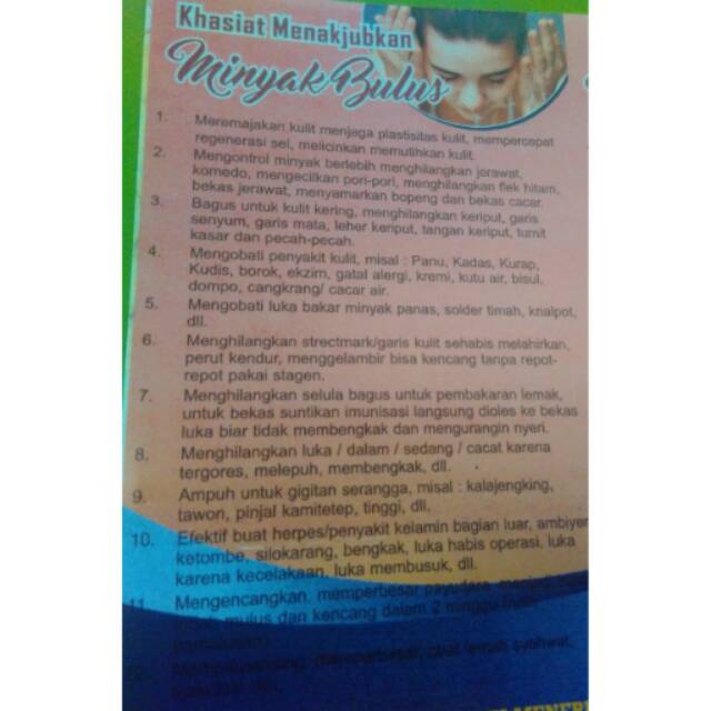 Beberapa khasiat / manfaat minyak bulus murni