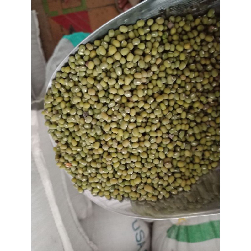 

kacang hijau cambah