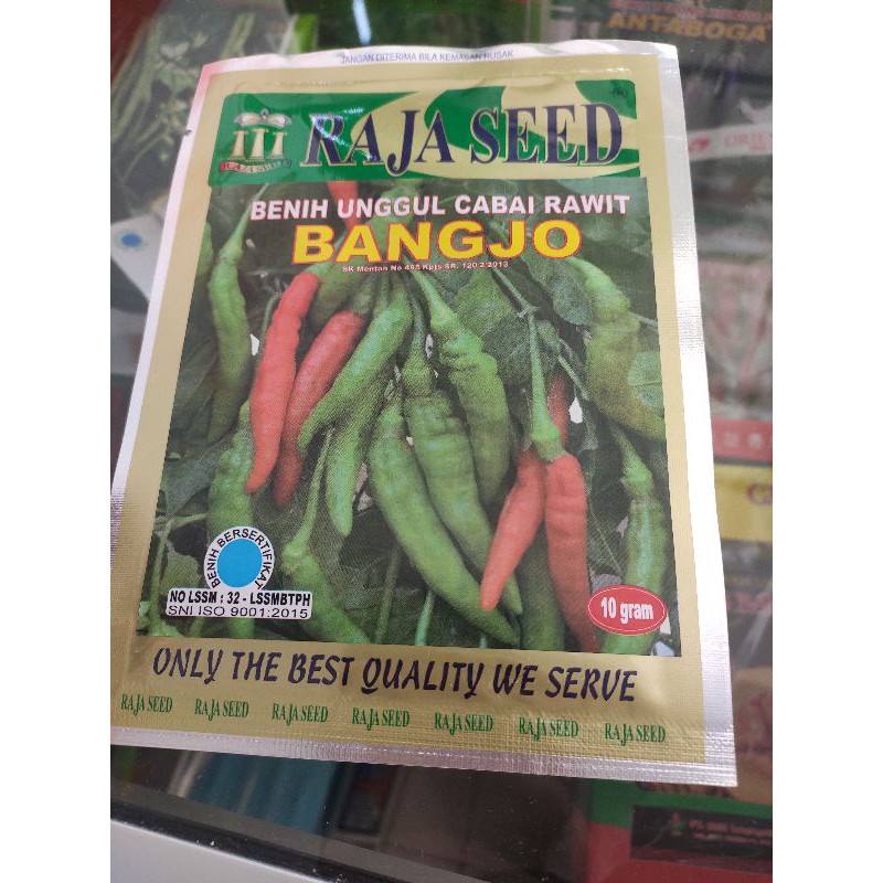 raja seed bangjo benih cabe rawit