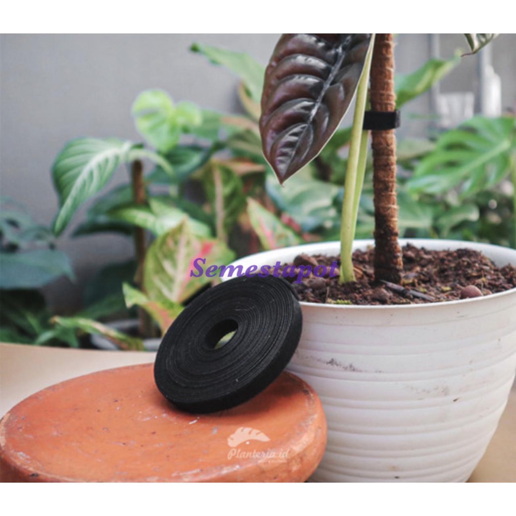 Velcro Tanaman 2 Meter Untuk Penyangga Turus Ikat Tanaman Plant Ties