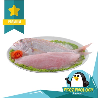 Ikan Kakap Anggoli SkinLess Goldband Snapper Fillet Fish n Chips