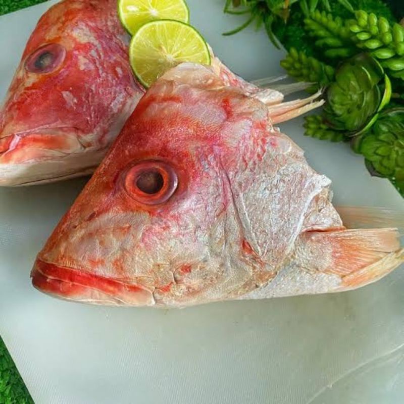 

Kepala Ikan Kakap Merah Segar