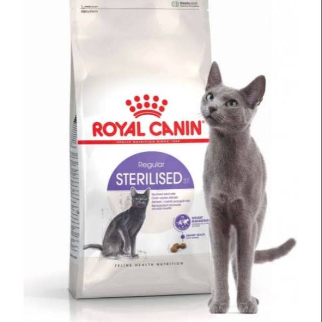 royal canin russian blue