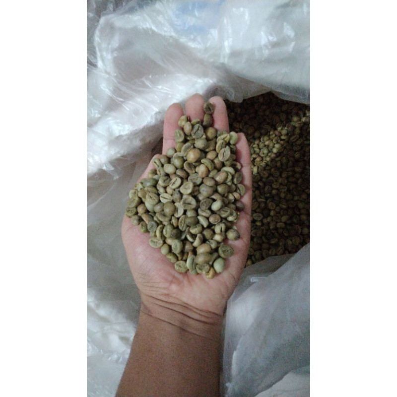 

kopi robusta lampung premium
