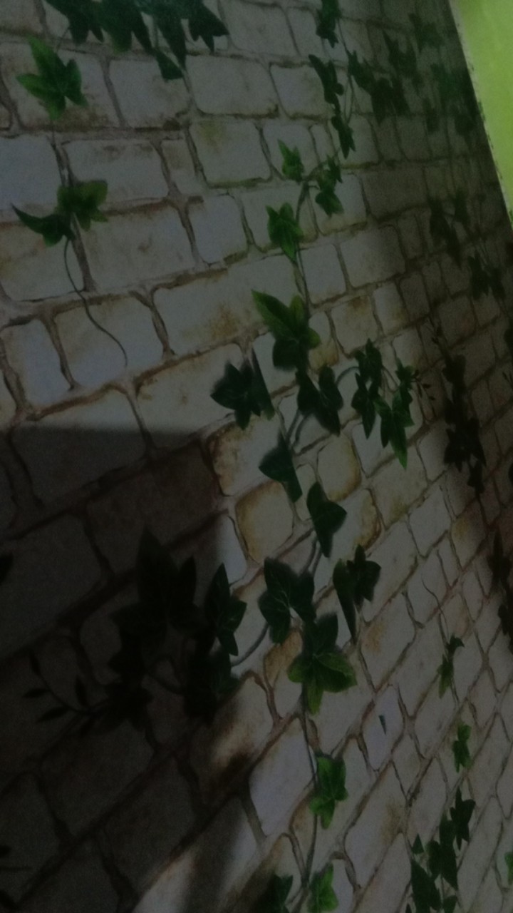 Wallpaper Dinding Gh005 Bata Putih Daun 3d | White Brick N Leaves 10m 45cm Walpaper Stiker Dinding