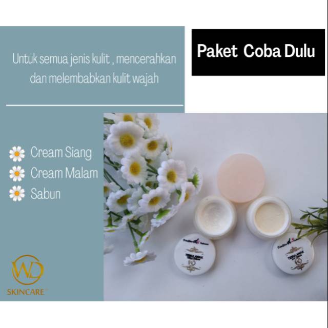 Cream Temulawak WD Premium