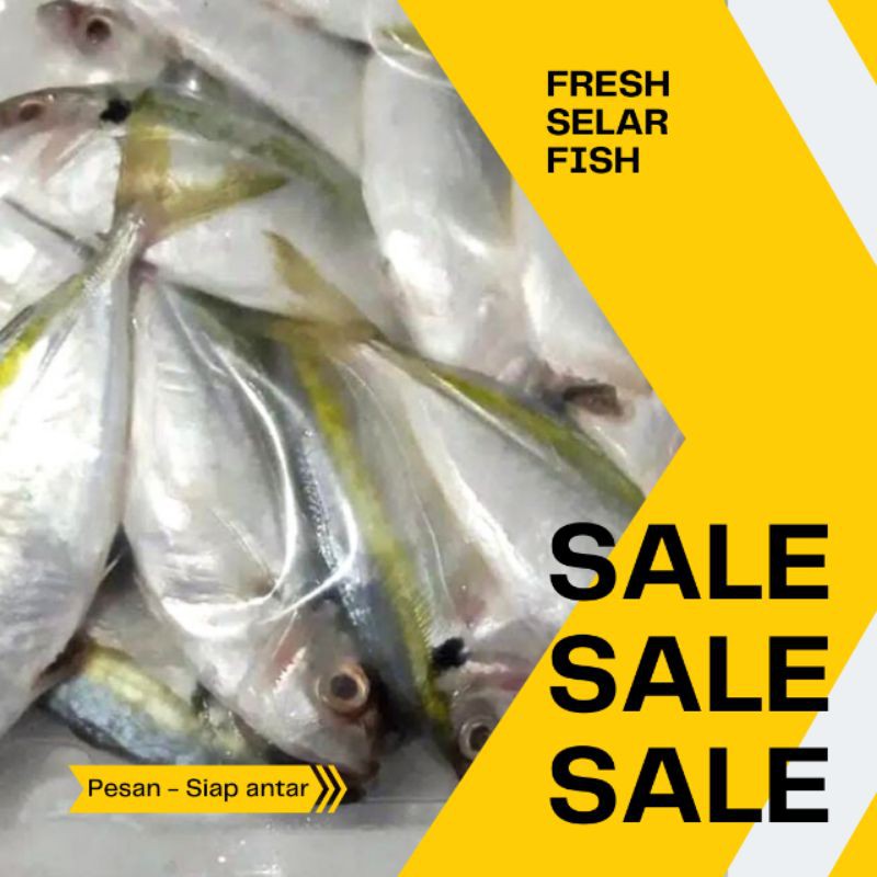 

IKAN SELAR