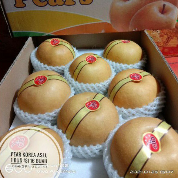 

BUAH PIR KOREA PEAR SINGO SIZE 16