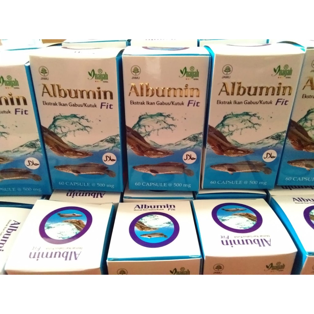 KAPSUL IKAN GABUS/ALBUMIN FIT HERBAL