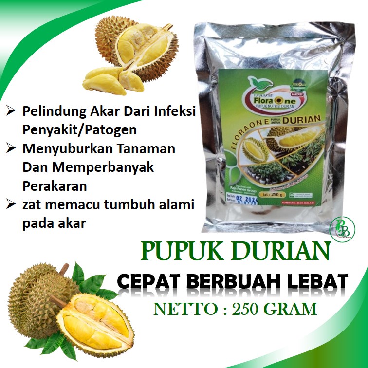 Booster Hayati Durian Montong agar cepat berbunga, Pupuk Nutrisi Tanaman buah Bibit Durian Bawor