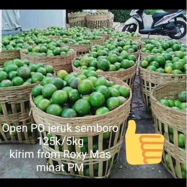 

Jeruk Semboro 5kg