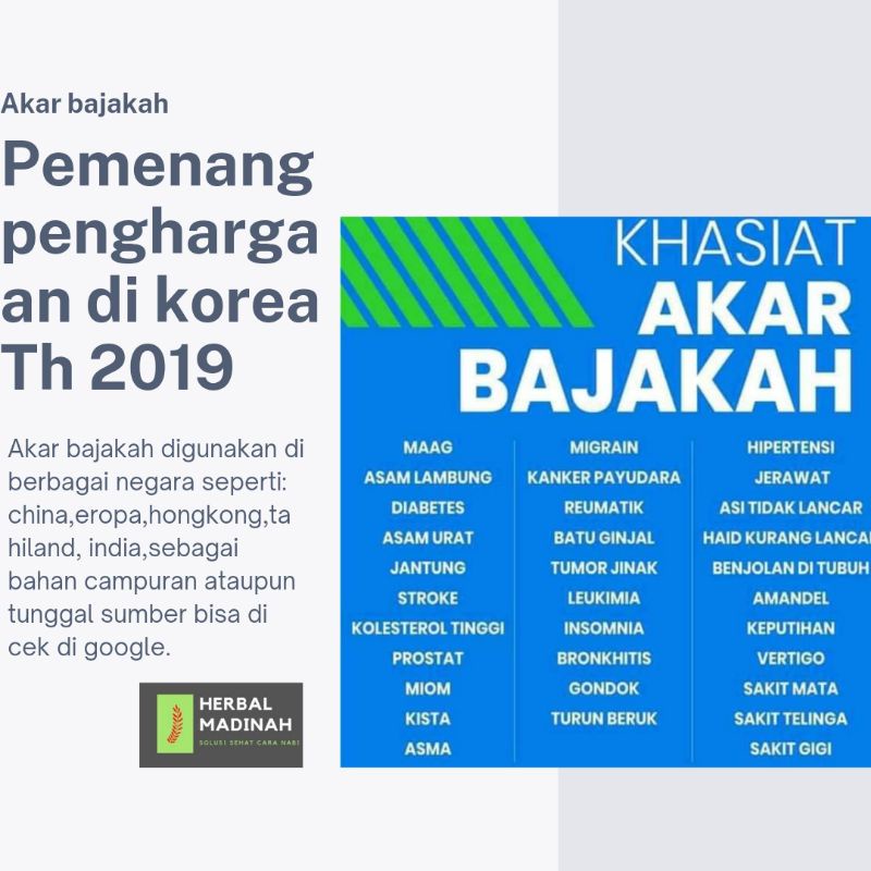 Akar Kayu Bajakan bajakah bajaka Asli Kalimantan jie xui teng herbal stroke jantung asam lambung-1