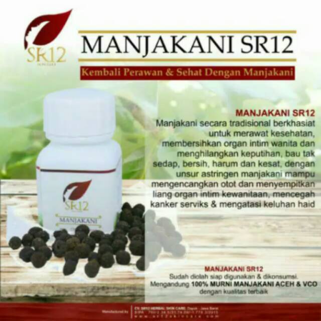 Manjakani / obat keputihan / Ikhtiar Hamil / Manjakani Aceh