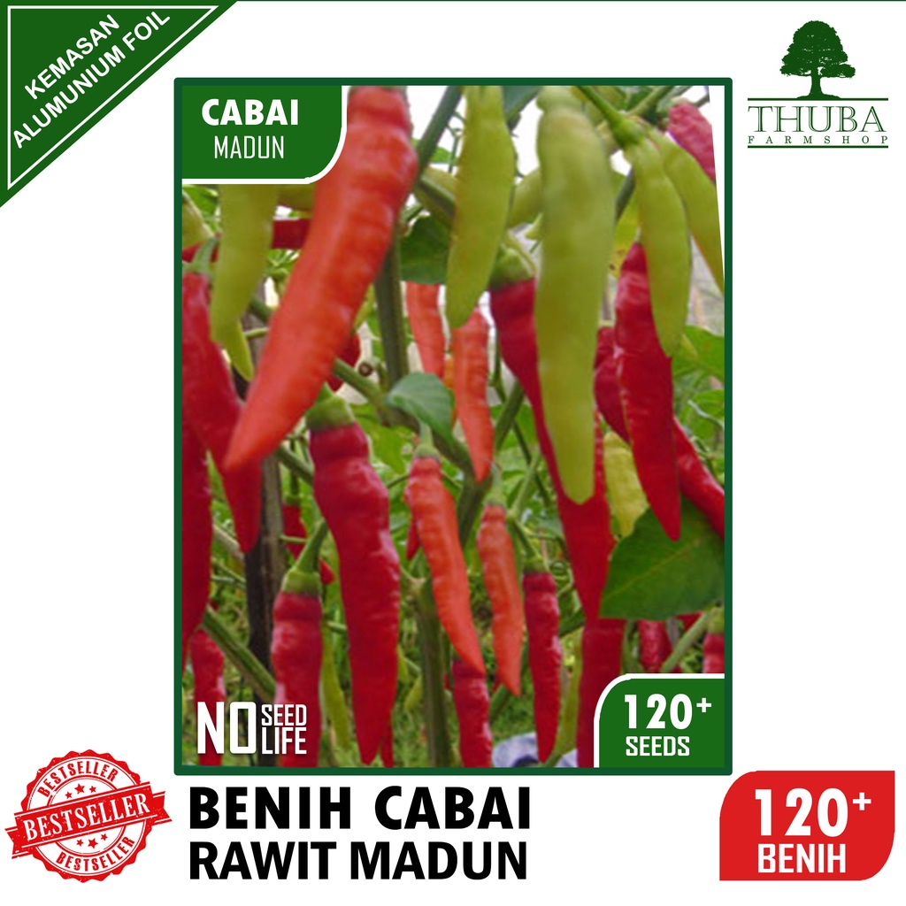 120 Biji - Benih Cabai Rawit Madun - Cabe Rawit Putih Merunduk