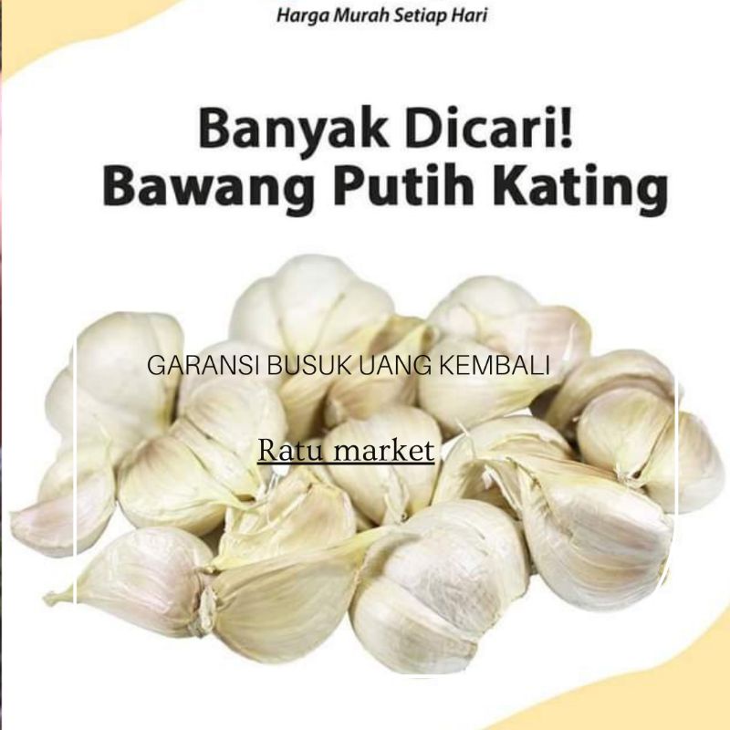 

BAWANG PUTIH KATING 1 KG KWALITAS TERBAIK BERGARANSI