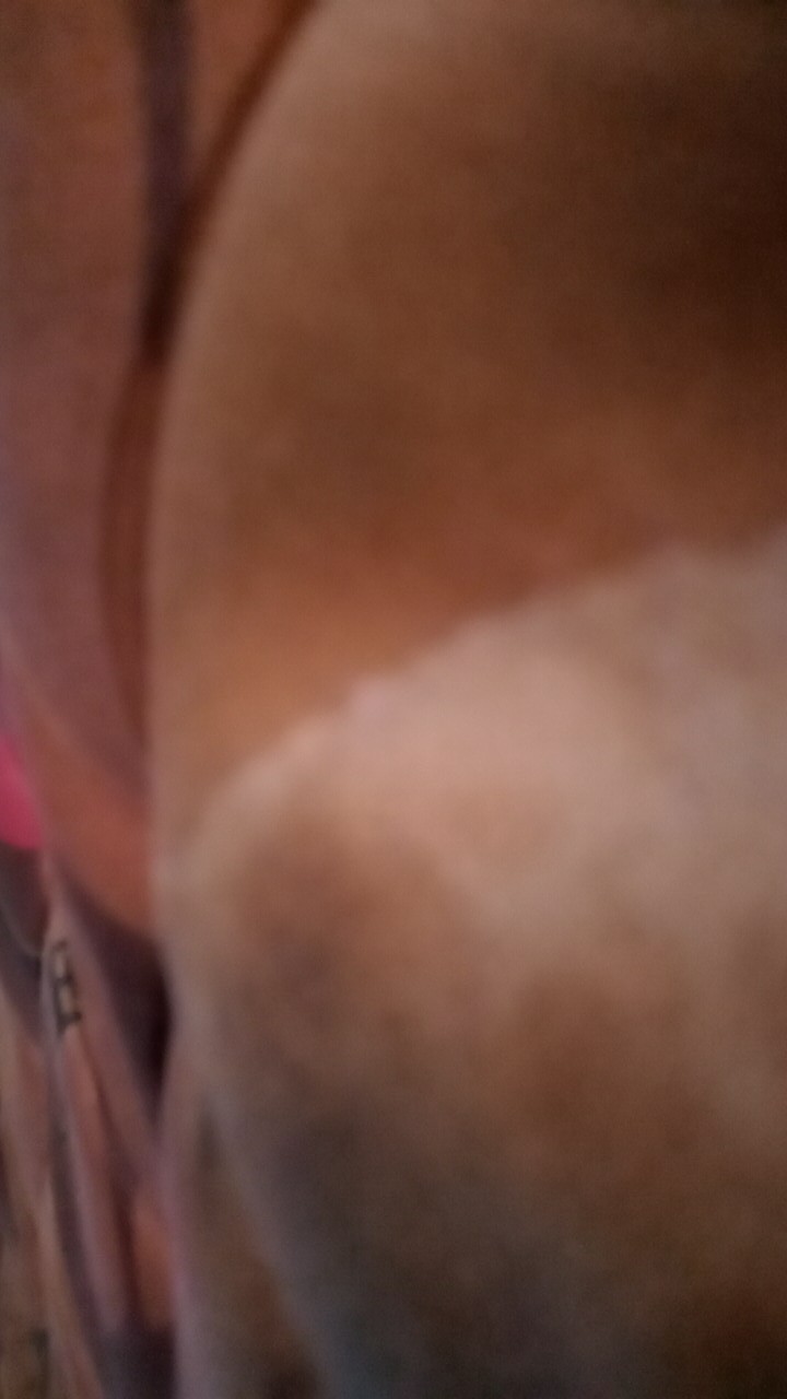 Batik Sukaini Sukaini Batik Gamis Batik Pekalongan Daster Sukaini Batik Gamis Arab Daster Batik