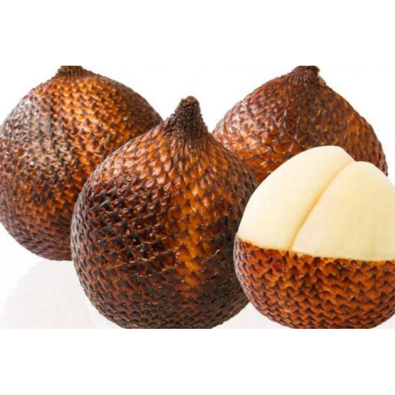 

buah salak 1 kg