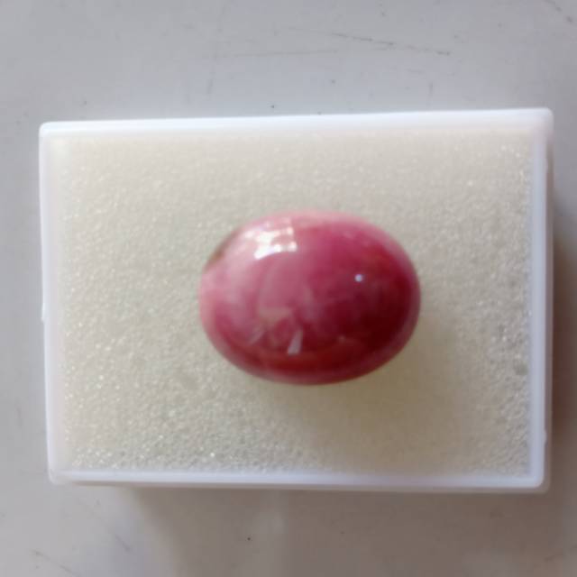 

RBK019 Red Borneo Kalimantan