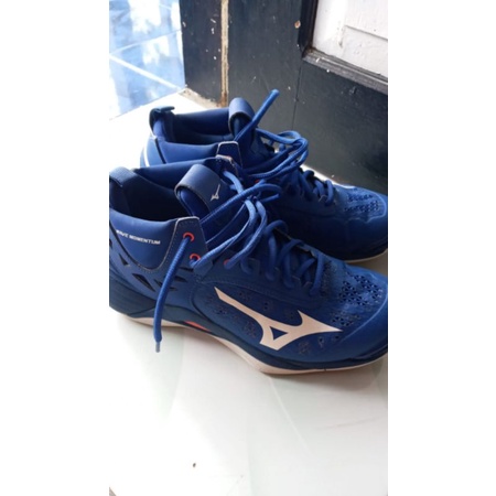 mizuno momentum mid