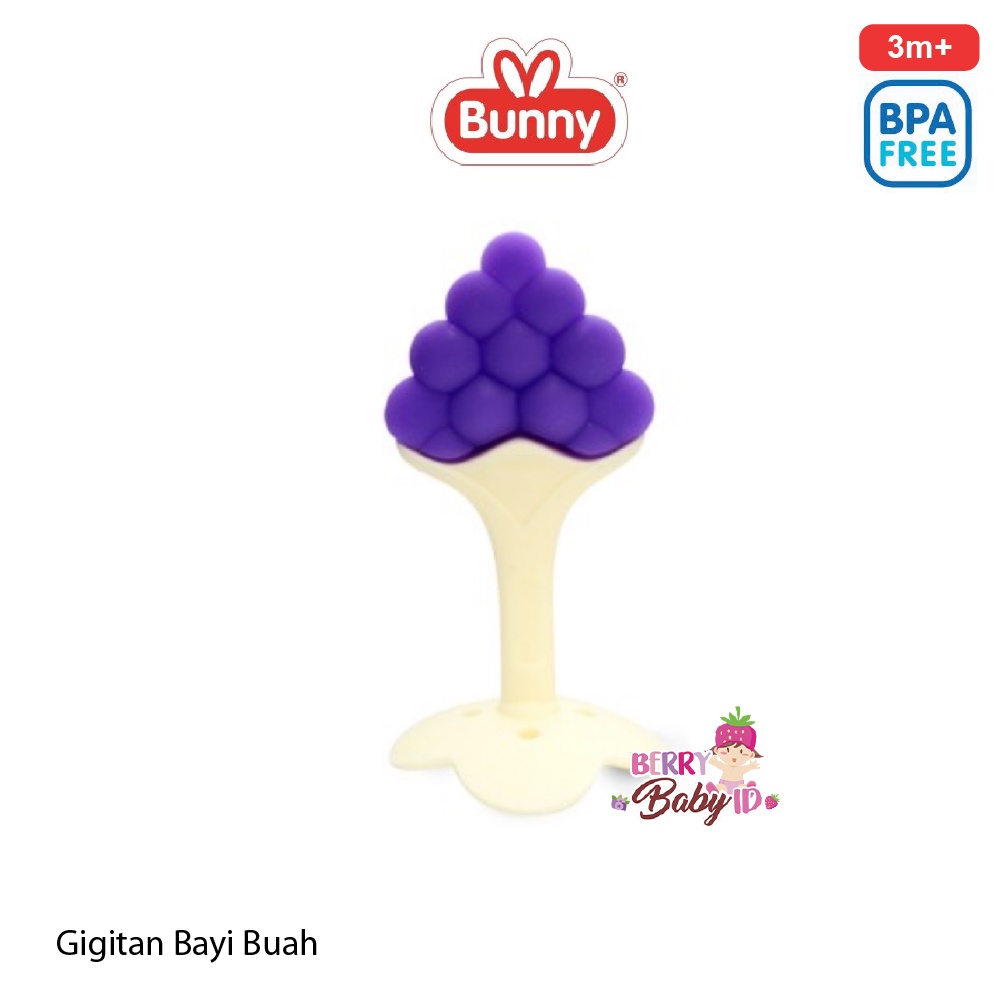 Lusty Bunny Fruit Teether Mainan Gigitan Bayi Chew Toy Silicone 3m+ Berry Mart