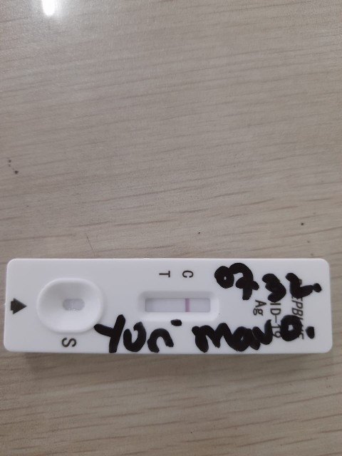 Atasan Batik Anak Sekolah Top Blus Batik Anak Putih Batik Anak Berkerah Perempuan Batik Anak Murah