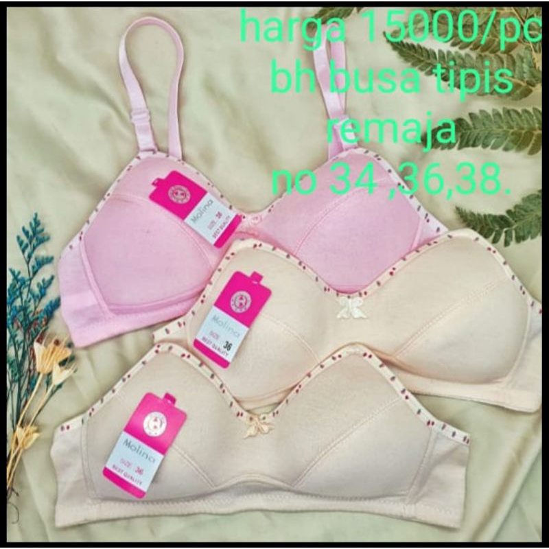 BH Molina Polos | Bra BH Tanpa Kawat | Bra BH wanita