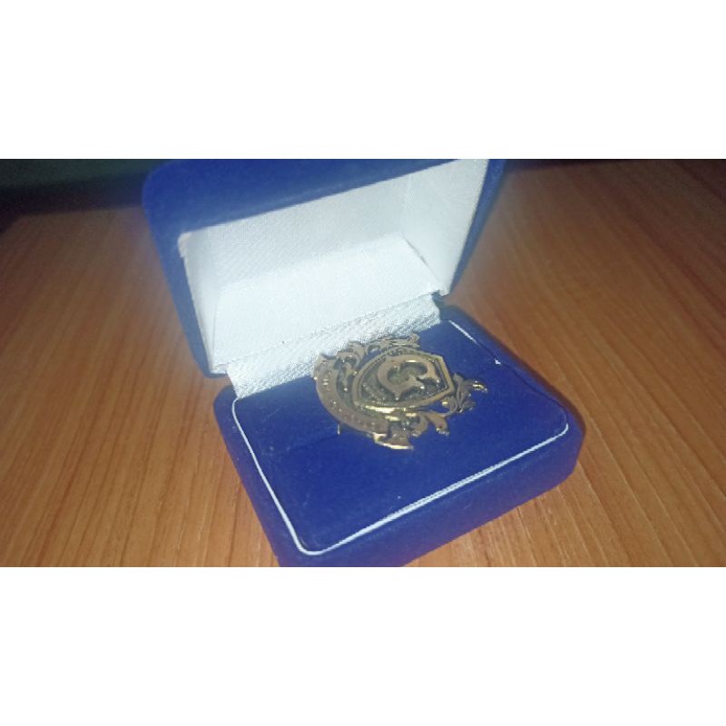 PIN THE GIFTED UNOFFICIAL