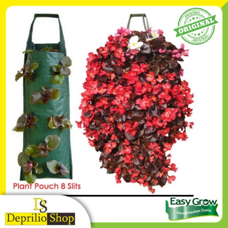 Plant Pouch Easy Grow 8 Lubang