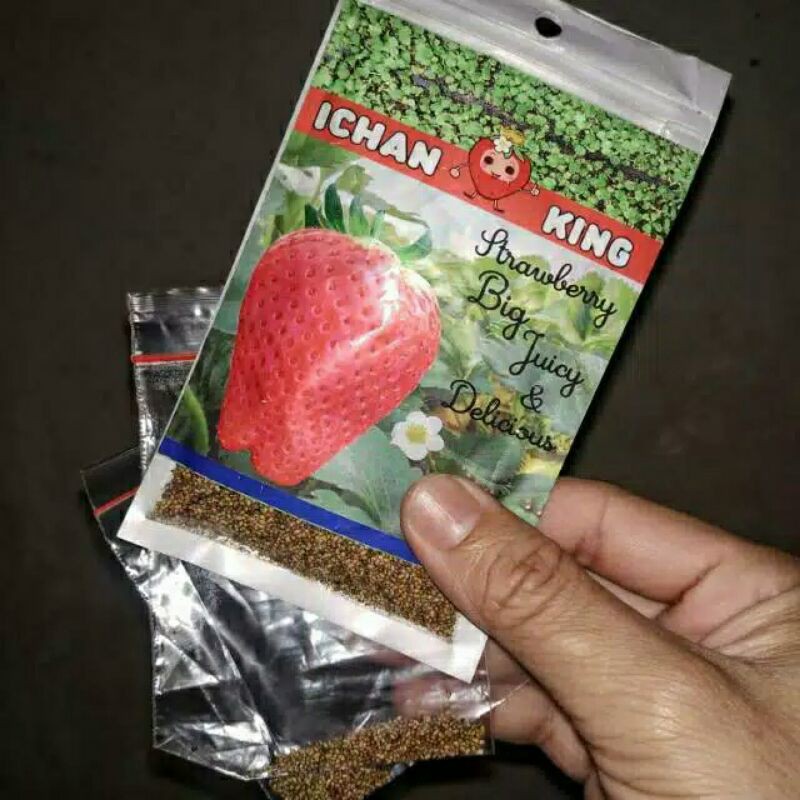 ( BISA COD) 120 Biji/Benih Strawberry Ichan King