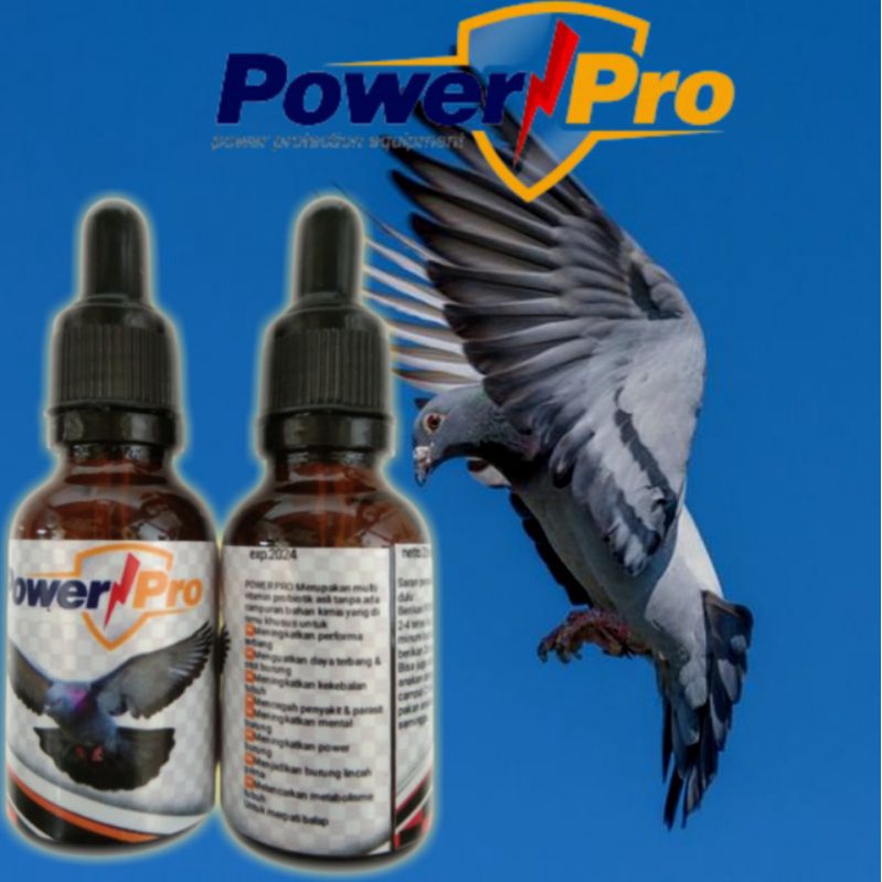 Vitamin burung merpati kolong Suplemen merpati Suplemen merpati kolong Jamu merpati giring keket Jam