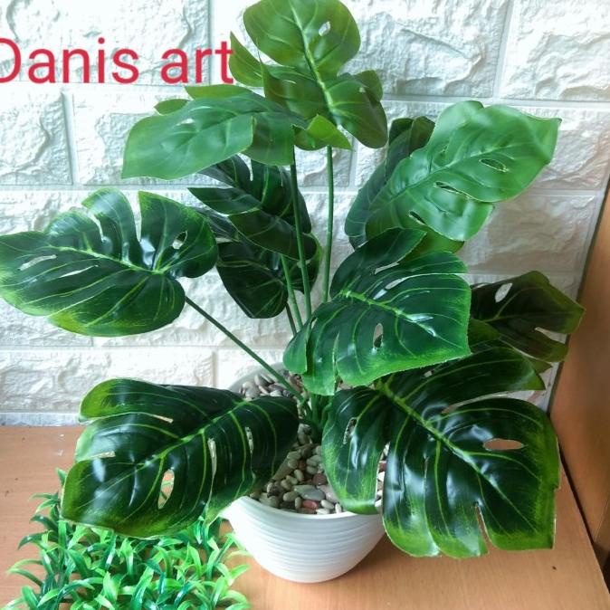 Monstera/ Monstera palsu/ Tanaman hias/ monstera plastik