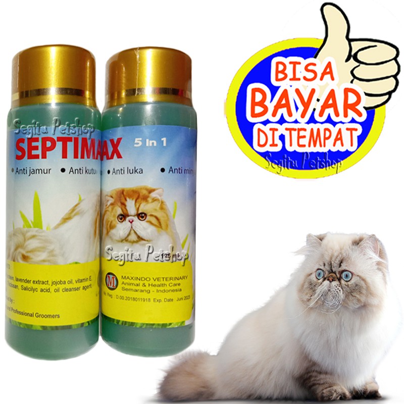 SAMPO KUCING ANTI JAMUR BAKTERI KUTU SHAMPO LUKA ANTI MINYAK SEPTIMAX