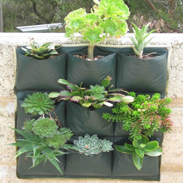 Wall Planter Bag 9 Kantong Easy Grow Tanaman Dinding Vertical Garden