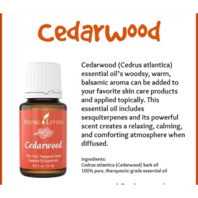 CEDARWOOD ESSENTIAL OIL 15ml SINGAPORE