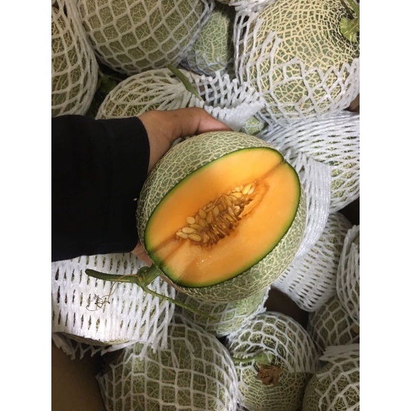 

Melon Rock, melon red sweet