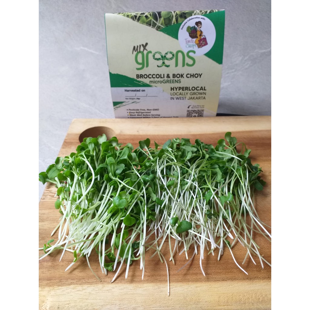 Broccoli & Bok Choy Microgreens by GREENS x Tante Sayur