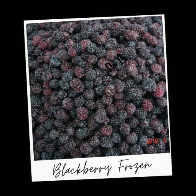 

Blackberry Frozen Buah Blackberry