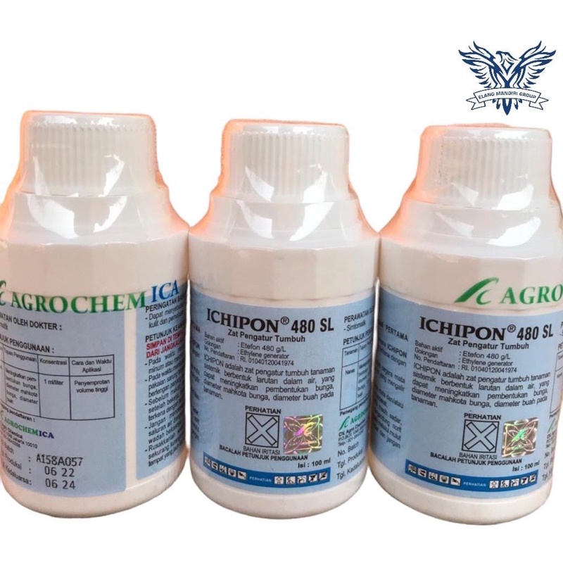 Ichipon Original 480SL ZPT Zat Pengatur Tumbuh &amp; Pematang Buah 100 ml Agrochemica